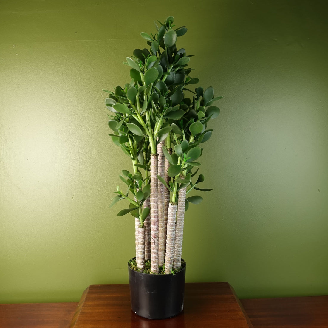 Artificial Deluxe 75cm Green Jade Plant — Botanik artificial plants