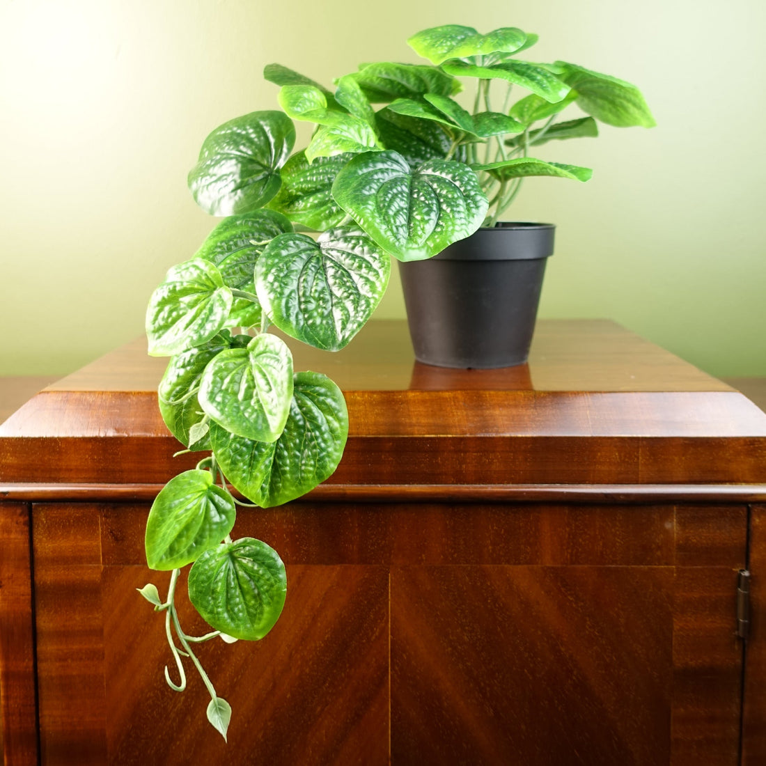 35cm Artificial Trailing Natural Look Potted Pothos Plant Realistic — Botanik artificial plants