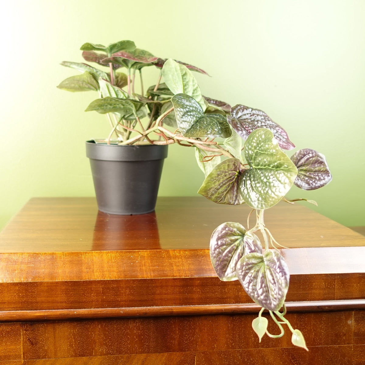 35cm Artificial Trailing Purple Potted Pothos Plant Realistic — Botanik artificial plants