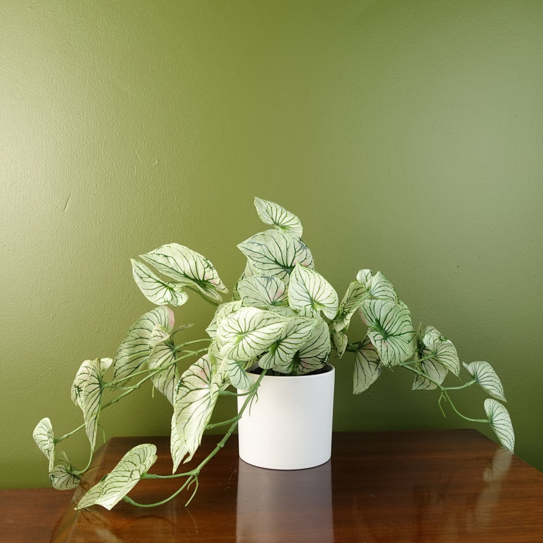 30cm Artificial Trailing Plant Realistic Variegated Potted Alocasia styled in a room — Botanik artificial plants