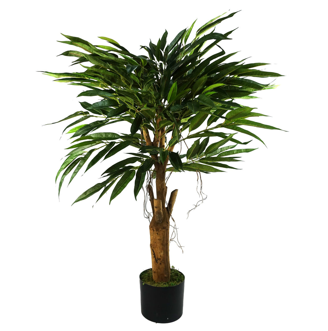 100cm Longifolia Ficus Tree Artificial Natural Trunk — Botanik artificial plants