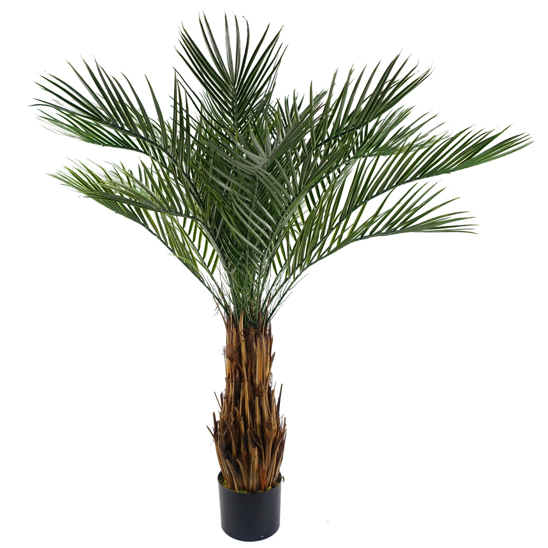 120cm Cycas Palm Tree UV Resistant Outdoor — Botanik artificial plants
