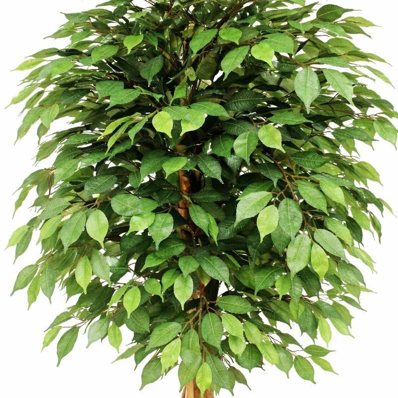 150cm Artificial Ficus Tree - Premium Quality