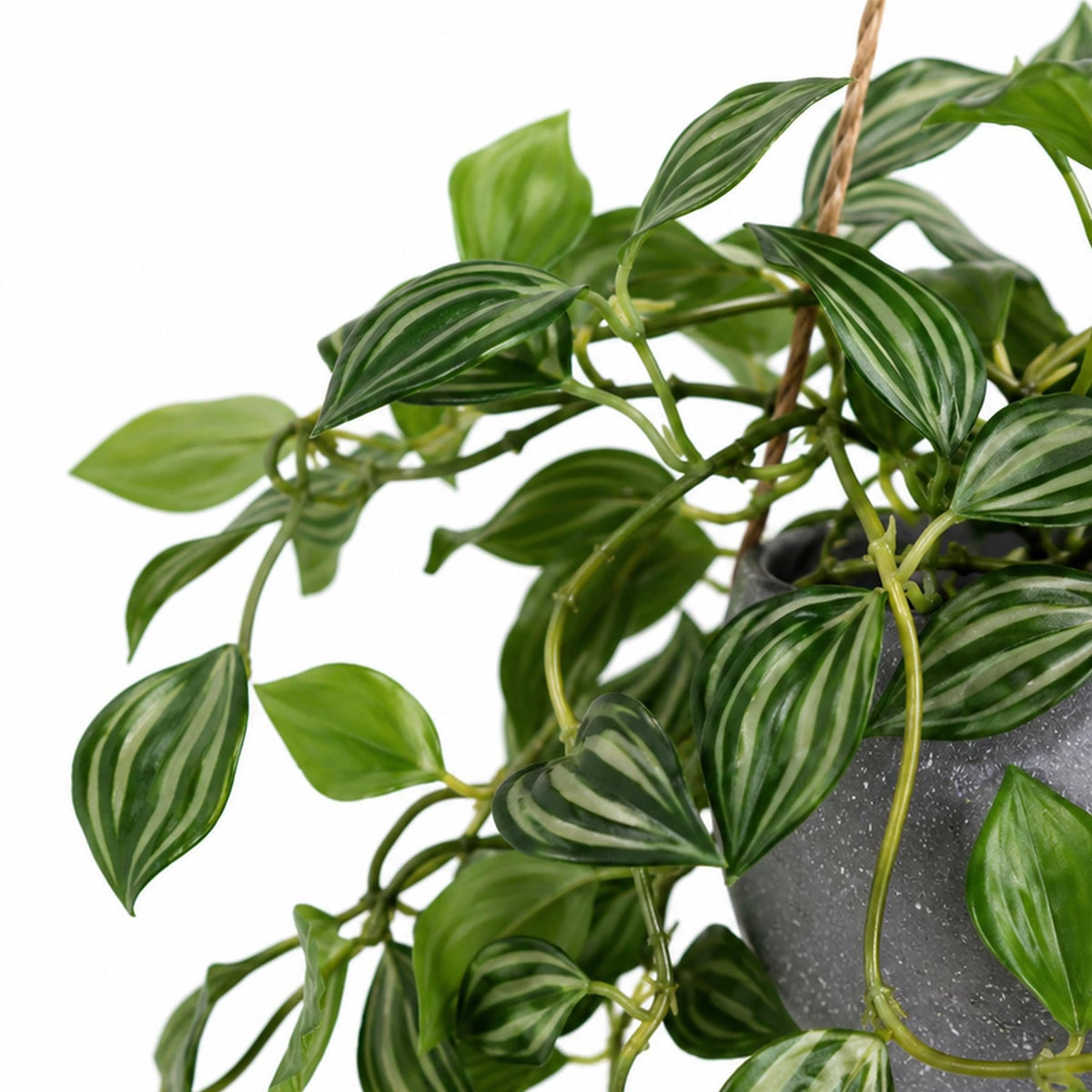Faux Tradescantia Hanging Plant, 70cm Trailing in Grey Pot with Hanger
