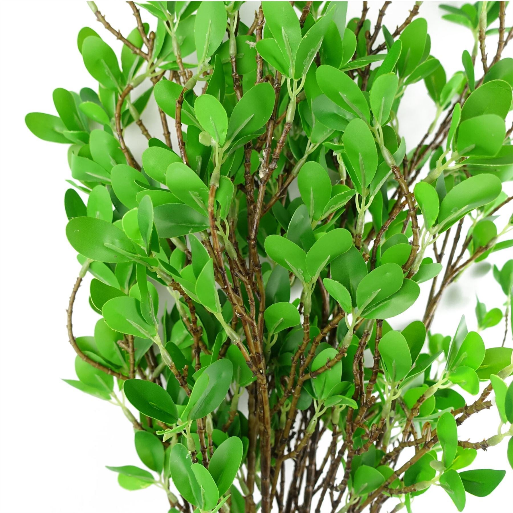 Artificial Pack of 6 x 100cm Mini Botanik Ficus Stem - Premium Quality