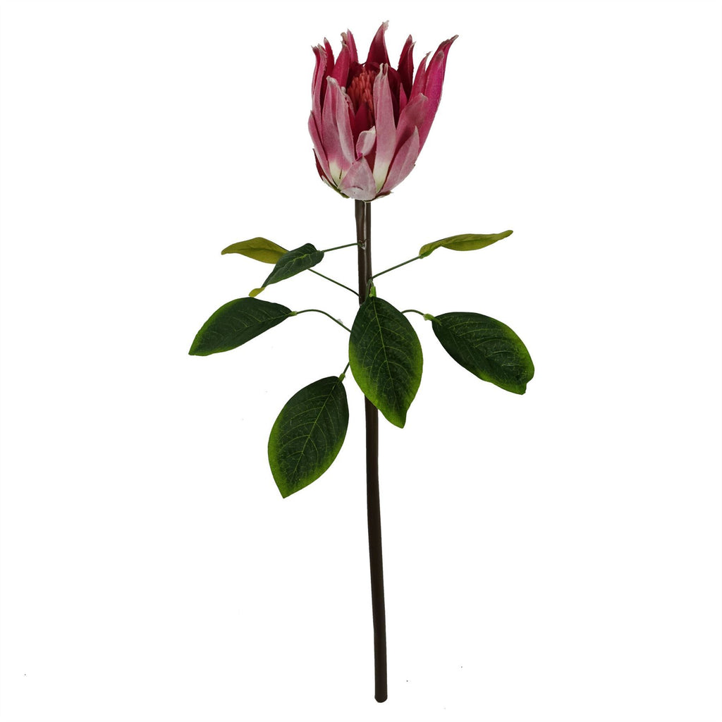 Artificial Pack of 6 x 65cm Protea Sugarbush Flower Stem - Pink - Premium Quality