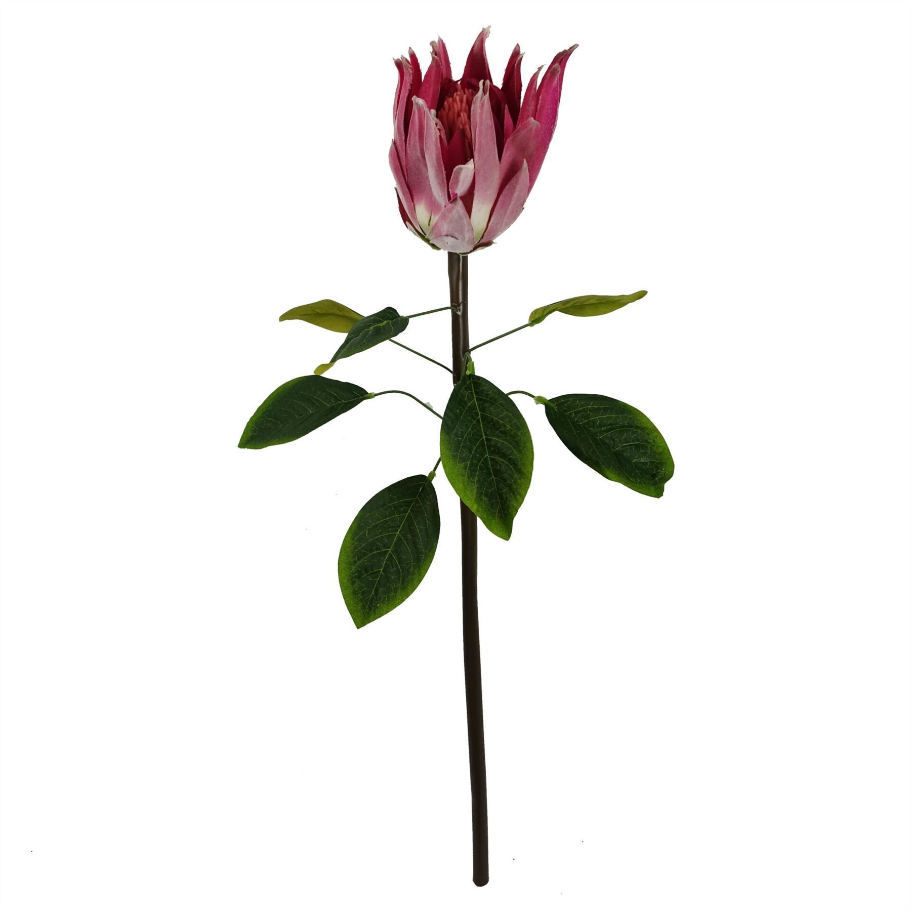Artificial Pack of 6 x 65cm Protea Sugarbush Flower Stem - Pink - Premium Quality