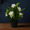 18cm Artificial Freesia Plant White Flowering - Premium Quality