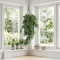 80cm Italian Ruscus Hanging Plant with Realistic Foliage - Sage Green - Premium Quality