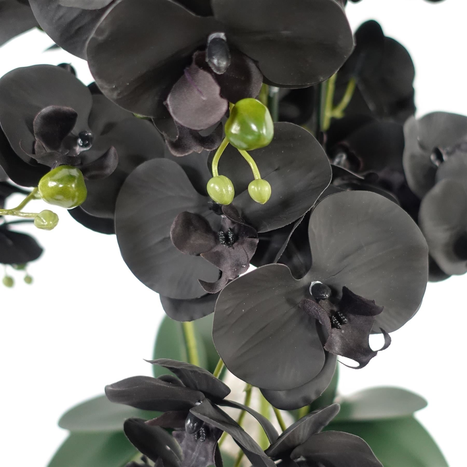 60cm Orchid Artificial Black - Gold Ceramic Planter - Premium Quality