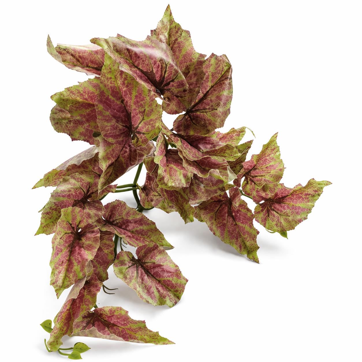 30cm Artificial Trailing Pink and Green Caladium - Premium Quality