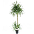 180cm Dracaena Realistic Artificial Tree - Premium Quality