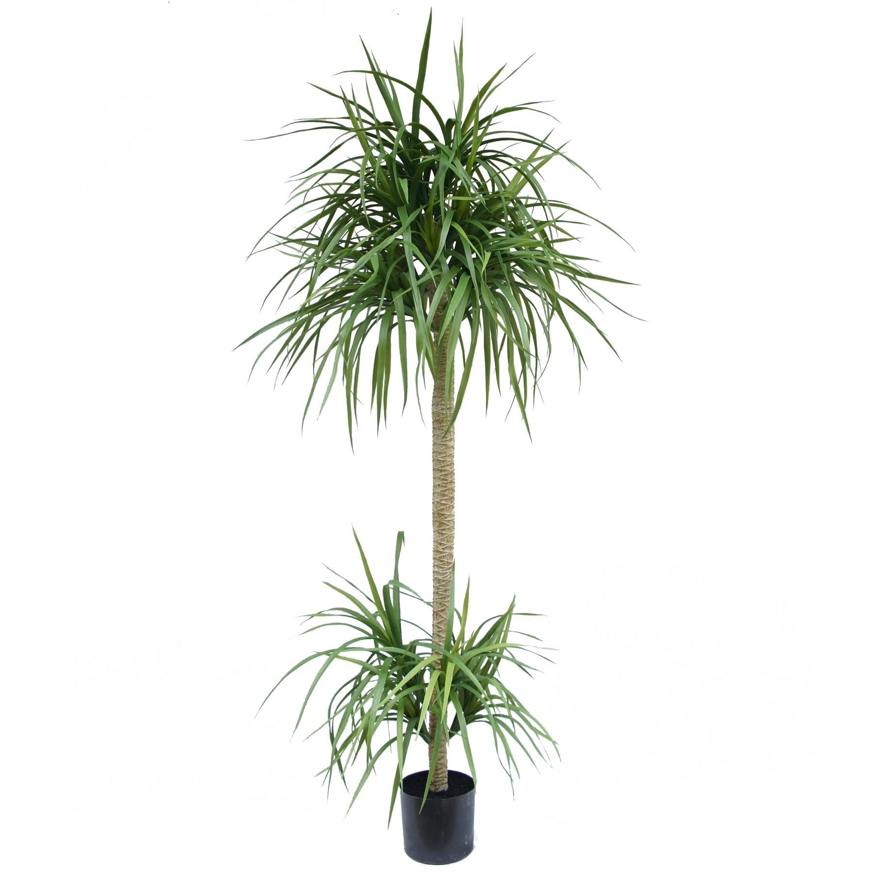 180cm Dracaena Realistic Artificial Tree - Premium Quality