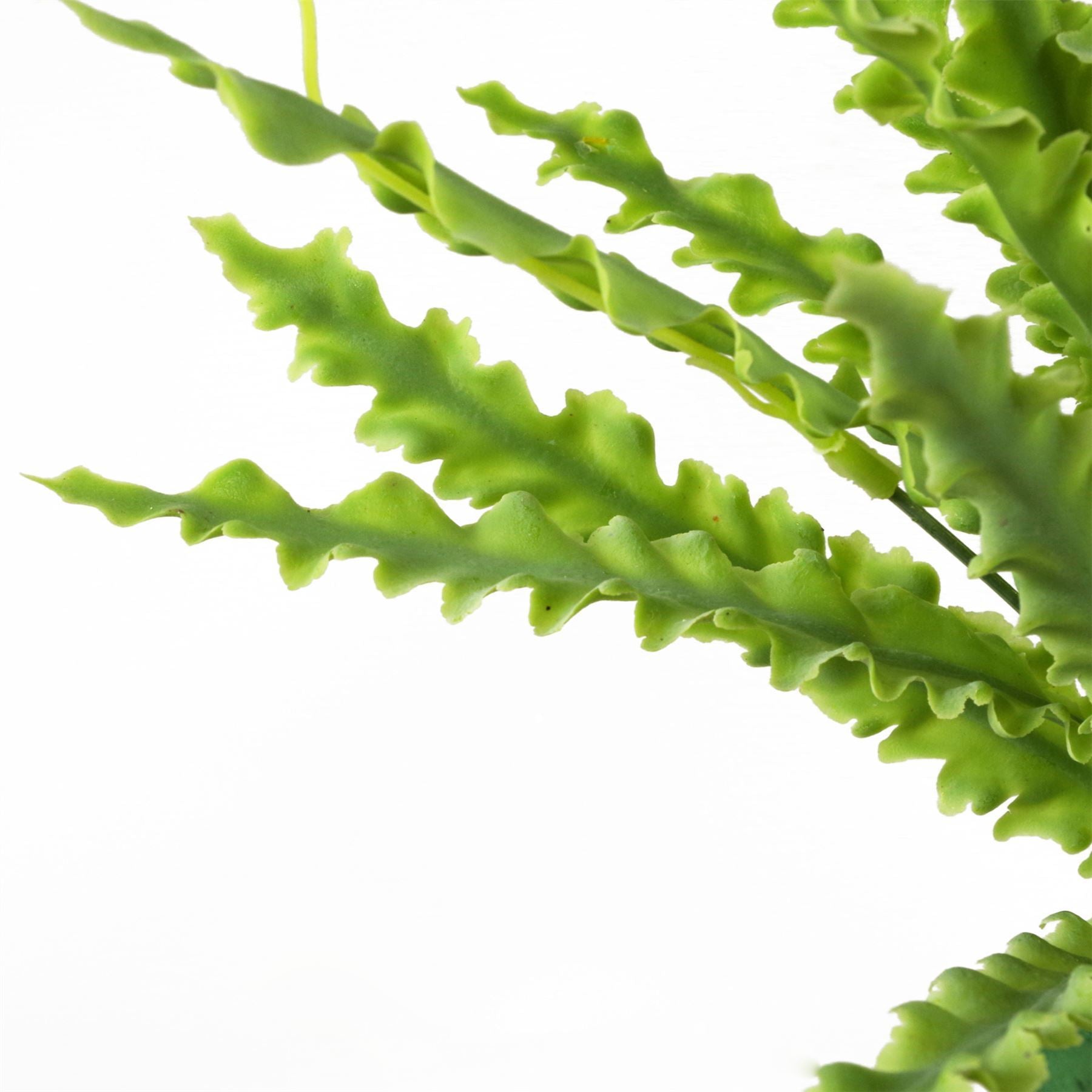 12 x 40cm Artificial Crocodile Fern Plant - Premium Quality