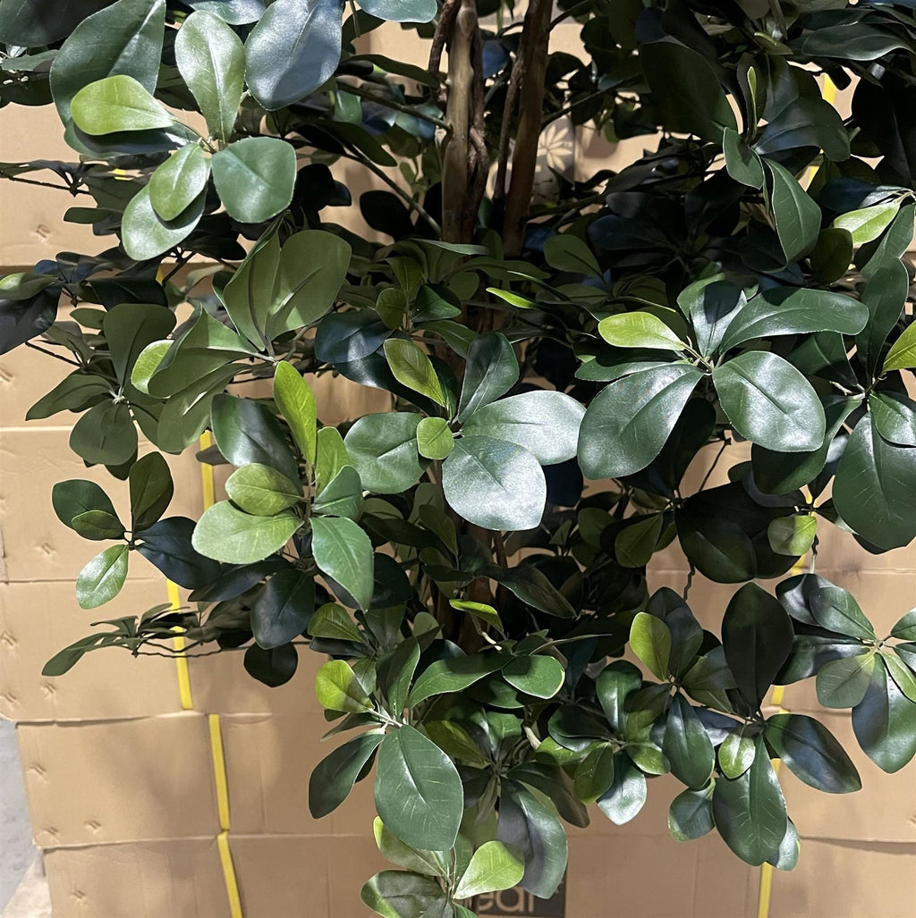 180cm Artificial Fire Retardant Black Olive Tree with 2925 Leaves and Natural Trunk - Premium Quality