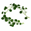 160cm Artificial Round Pilea Botanik Garland Hanging Decoration - Premium Quality