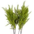 Pack of 6 x 95cm Artificial Himilayan Maidenhair Fern Stem - Premium Quality
