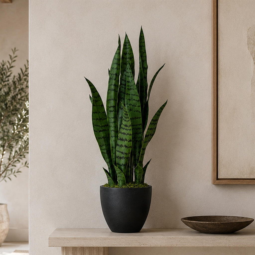 70cm Artificial Sansevieria Dark Green - Premium Quality
