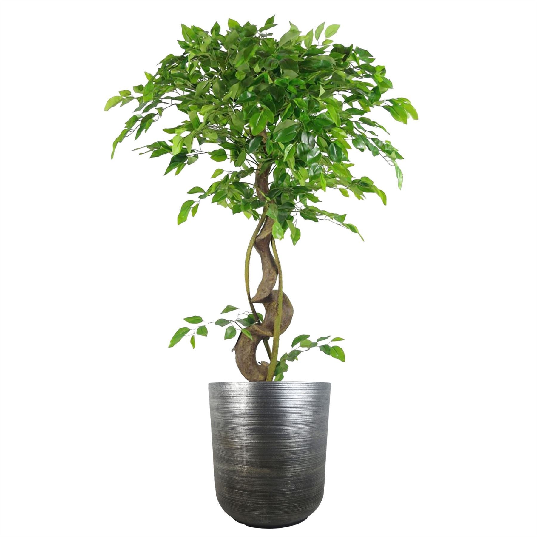 39cm x 33cm Coya Silver Ridged Planter Large Composite Plant Pot - Premium Quality