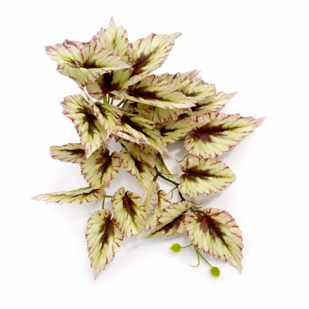 30cm Artificial Trailing Cream and Pink Caladium - Premium Quality