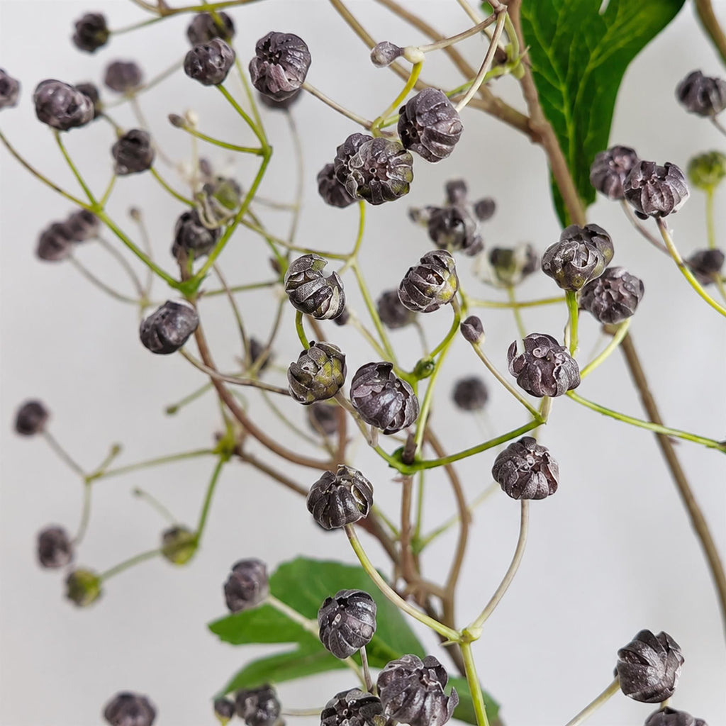 Faux Daphne Berry Sprays, 86cm Branching Stems - Set of 6