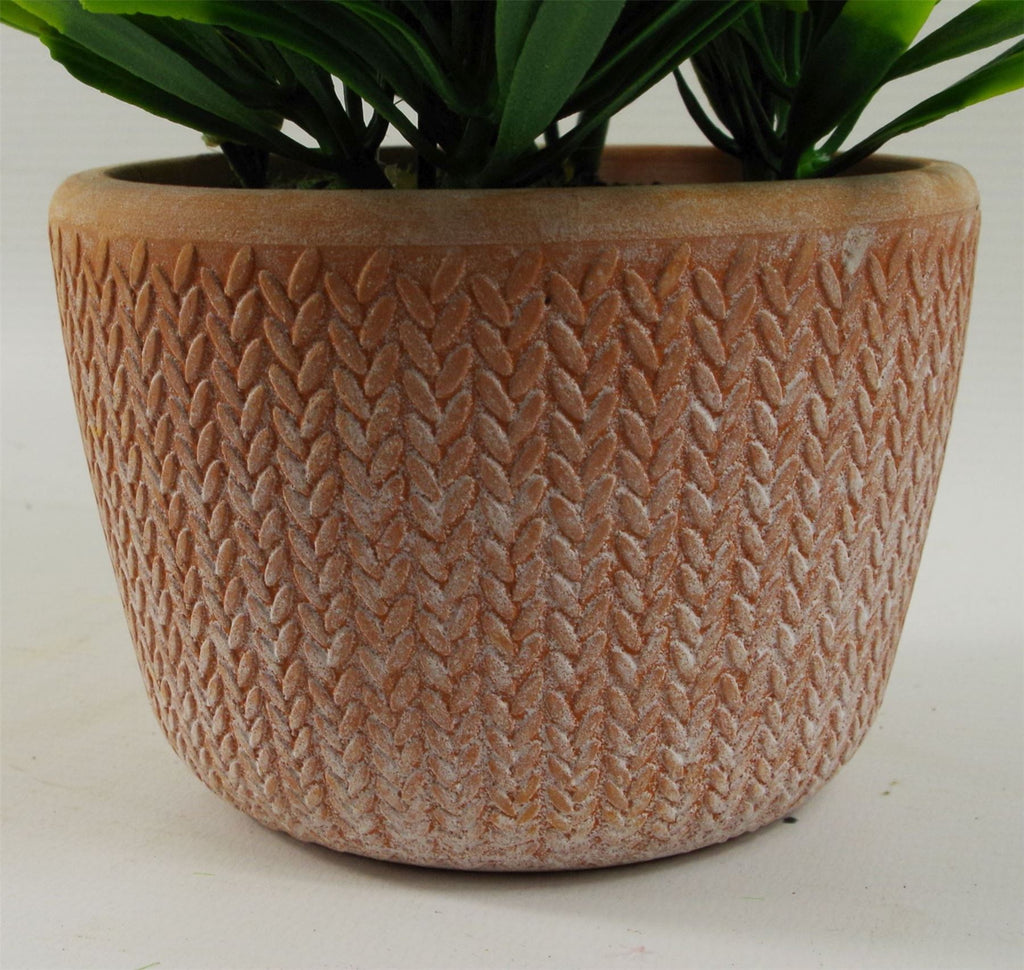 22cm Artificial Foliage Honey Plant Light Green in Terracotta Pot