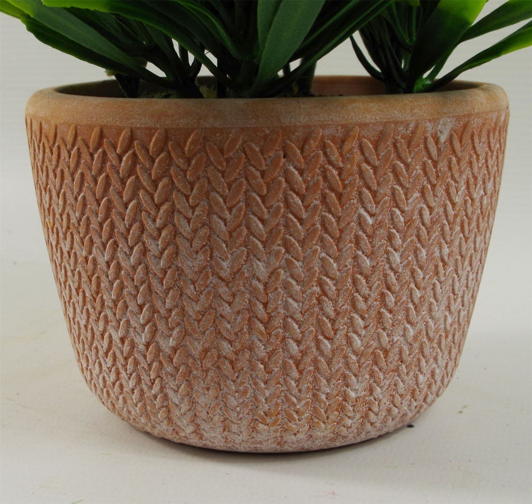 22cm Artificial Foliage Honey Plant Light Green in Terracotta Pot