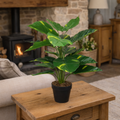 60cm Botanik Realistic Large Artificial Foliage Plant with Pot