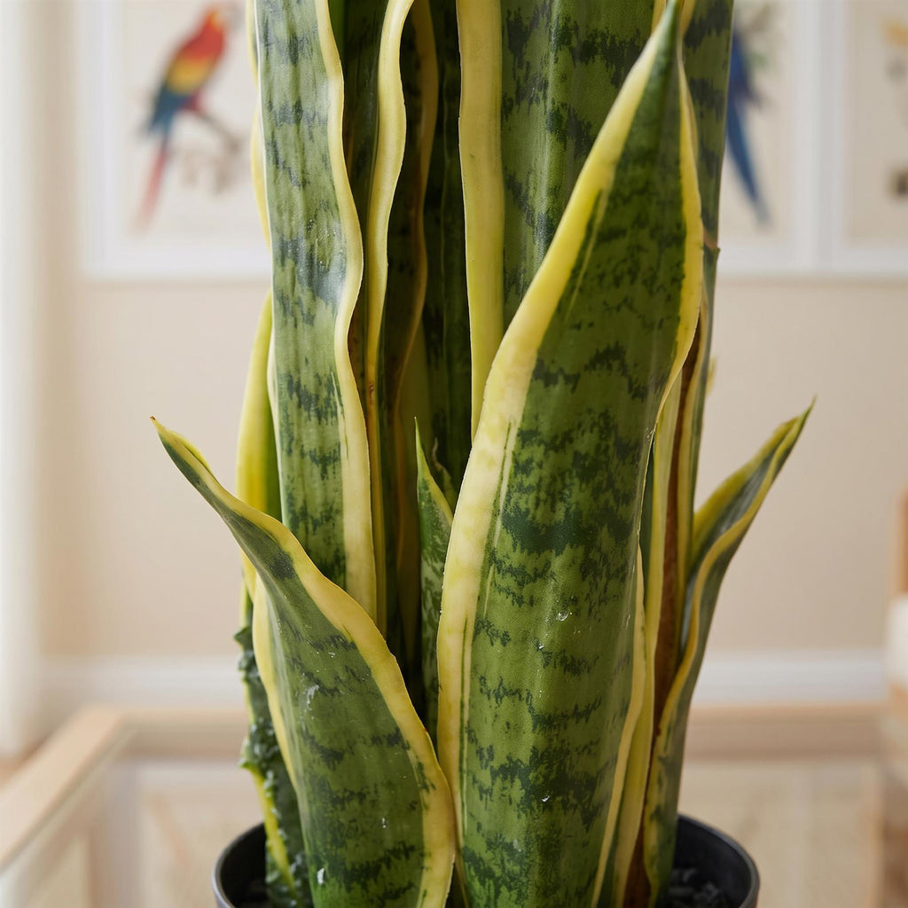 90cm (3ft) Artificial Sansevieria Yellow Green Indoor Plant - Large (image 4 of 5)