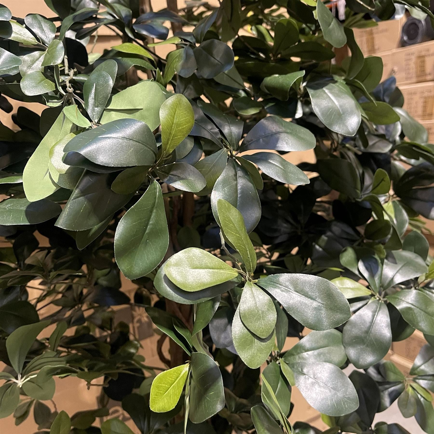 180cm Artificial Fire Retardant Black Olive Tree with 2925 Leaves and Natural Trunk - Premium Quality