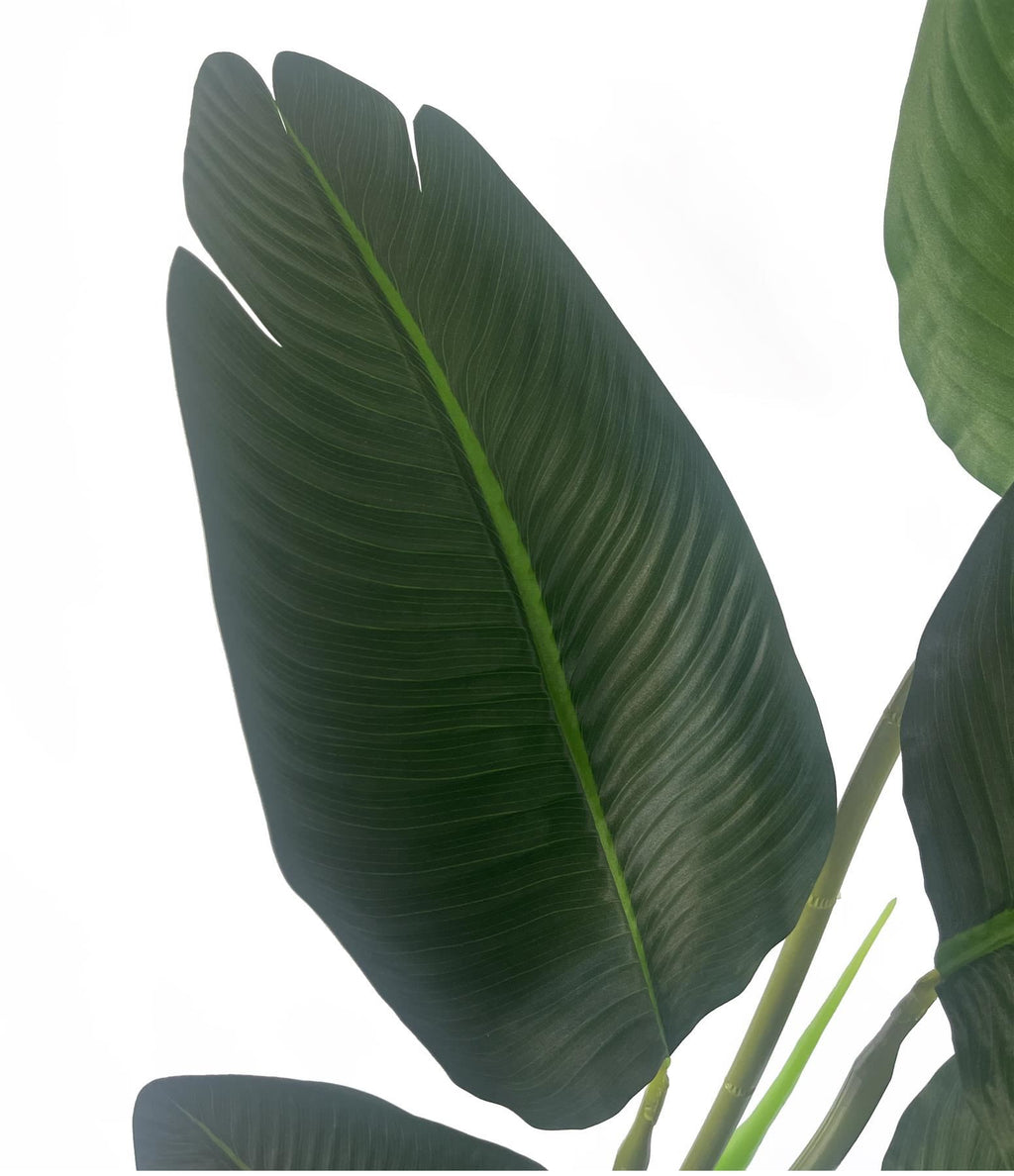 120cm Artificial UV Traveller Banana Palm Tree - Premium Quality