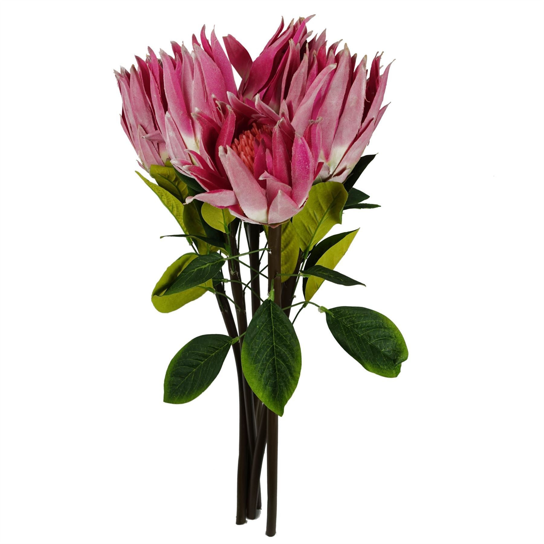 Artificial Pack of 6 x 65cm Protea Sugarbush Flower Stem - Pink - Premium Quality