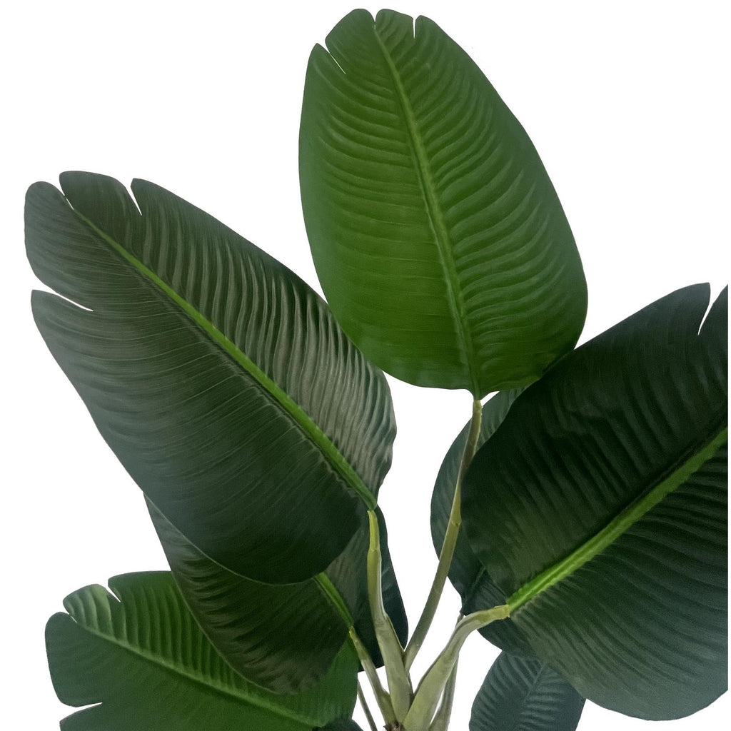 150cm Artificial UV Traveller Banana Palm Tree - Premium Quality