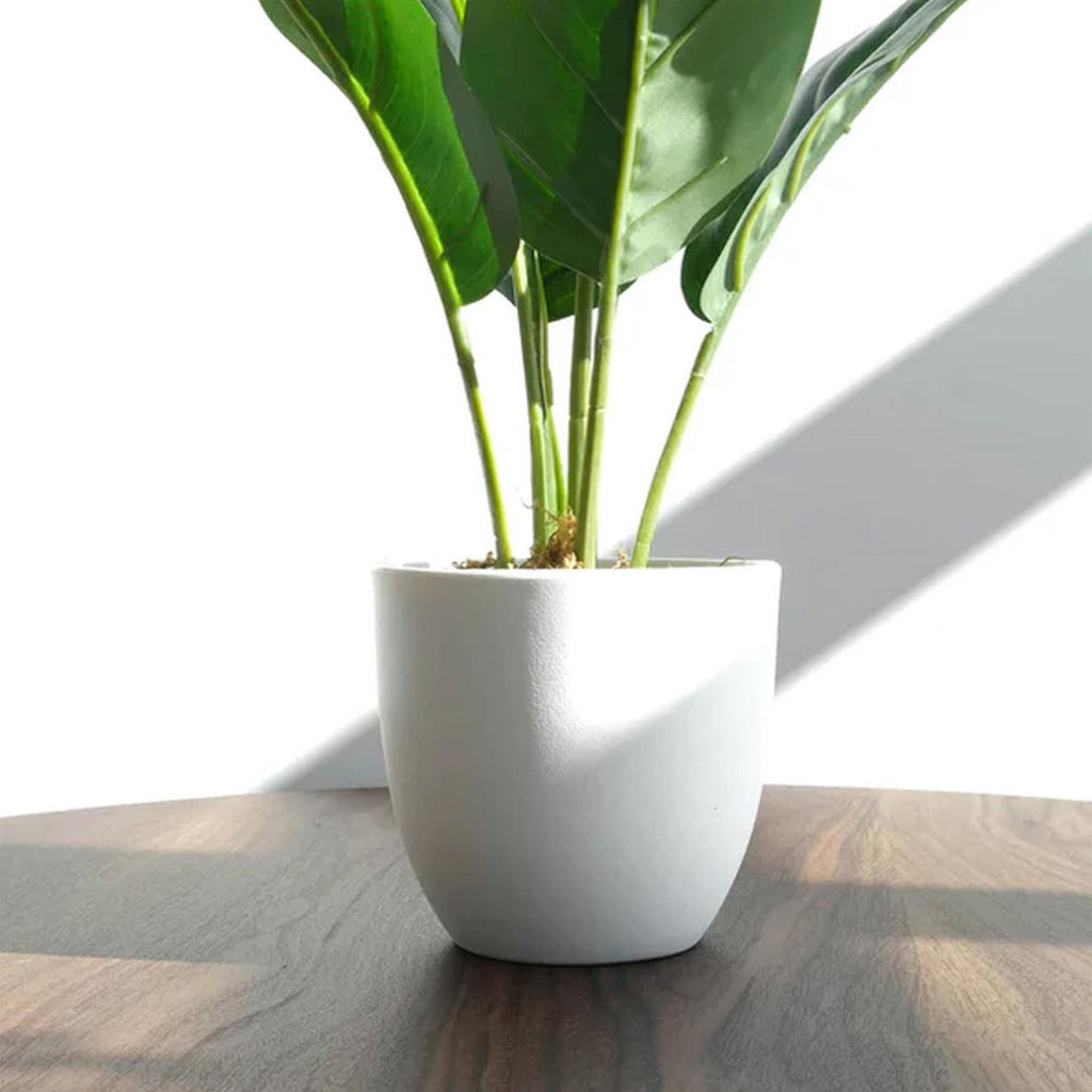 45cm Artificial Aureum Plant - Premium Quality