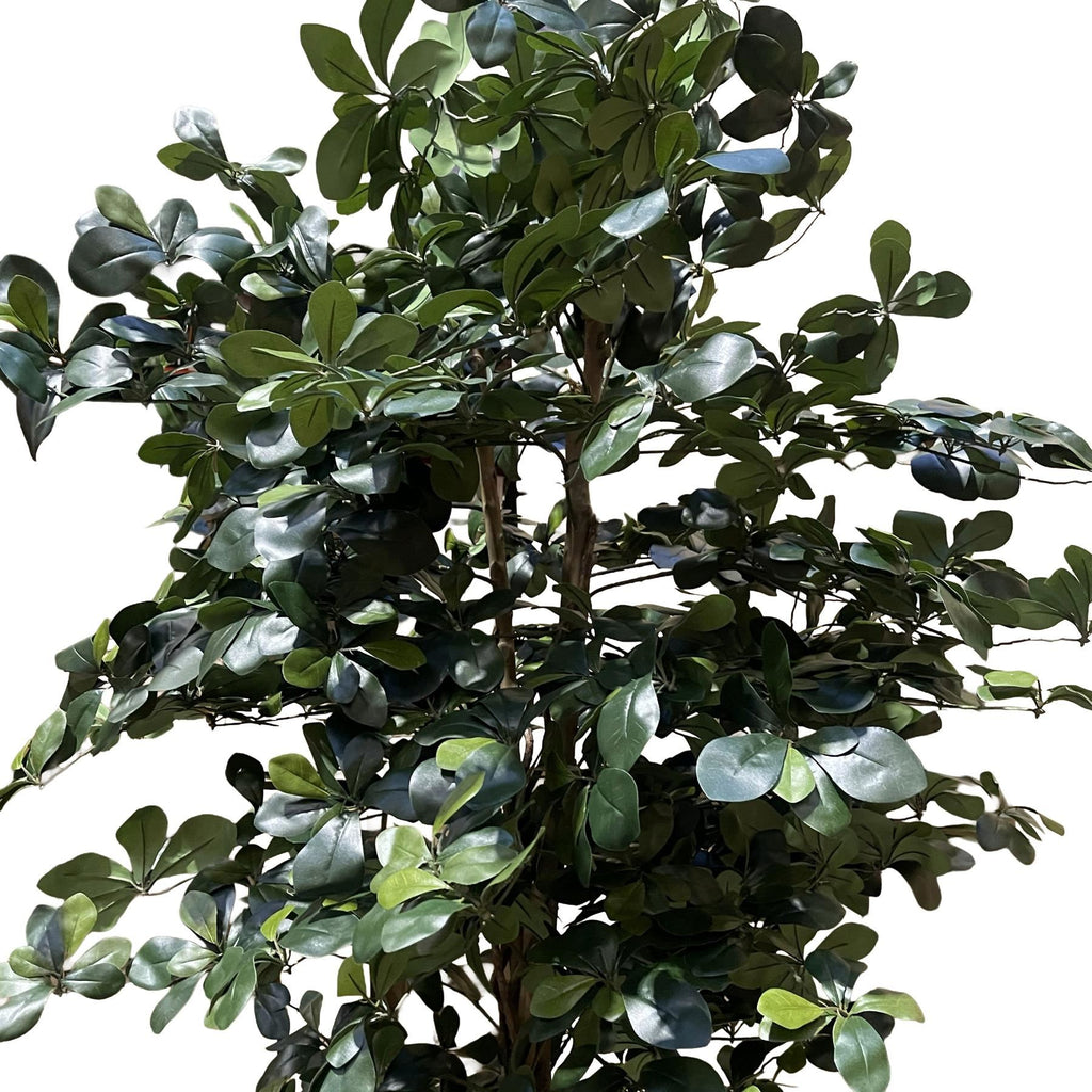 180cm Artificial Fire Retardant Black Olive Tree with 2925 Leaves and Natural Trunk - Premium Quality