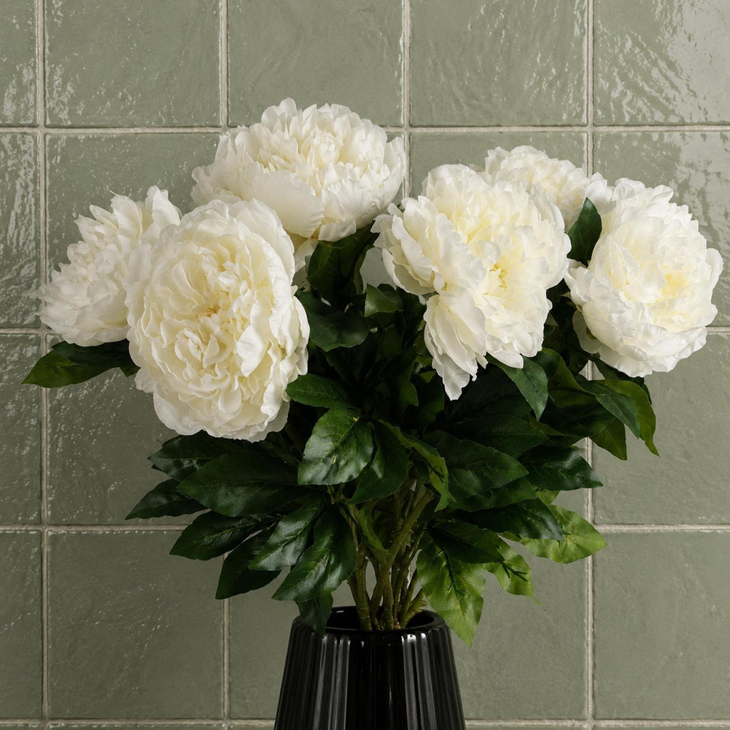 Pack of 6 x 80cm Artificial Cream Peony Stem - Premium Quality