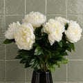 Pack of 6 x 80cm Artificial Cream Peony Stem - Premium Quality