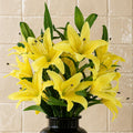 Pack of 6 x 100cm Large Yellow Lily Stem - 18 Flowers - Premium Quality