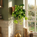 25cm Artificial Trailing Variegated Monstera Vine Plant - Premium Quality