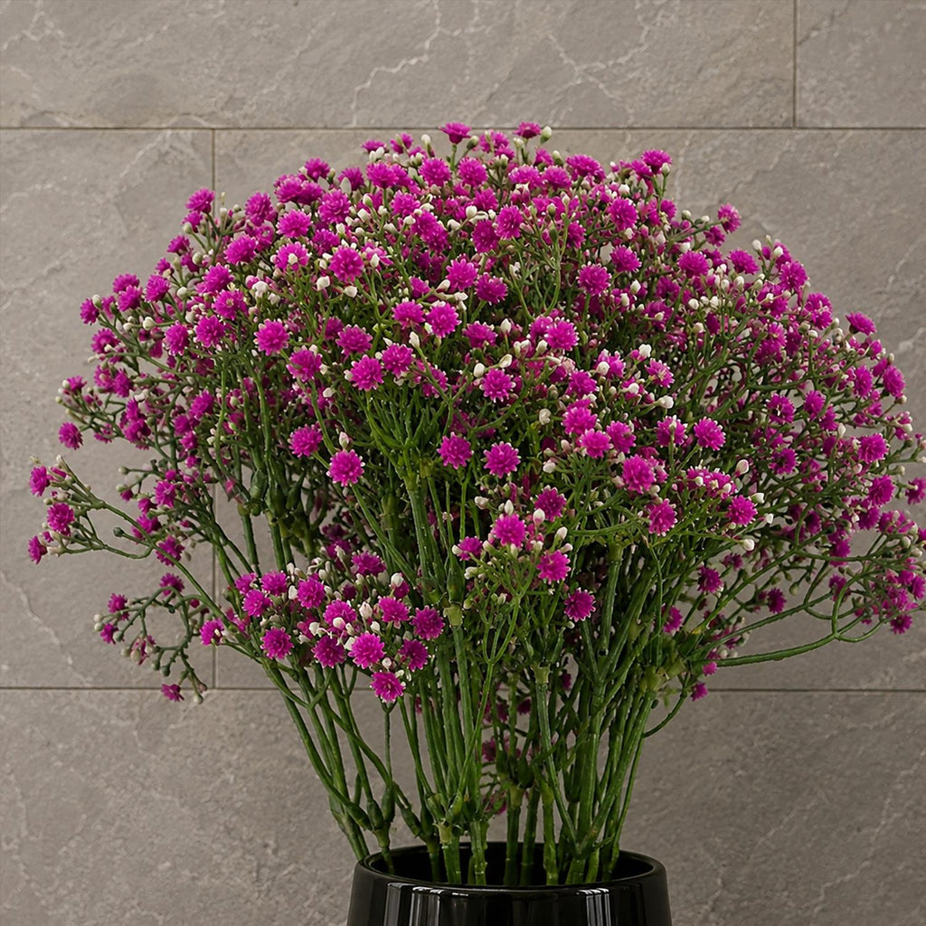 Pack of 6 x 55cm Gypsophila Pink Stem - Premium Quality (image 8 of 8)