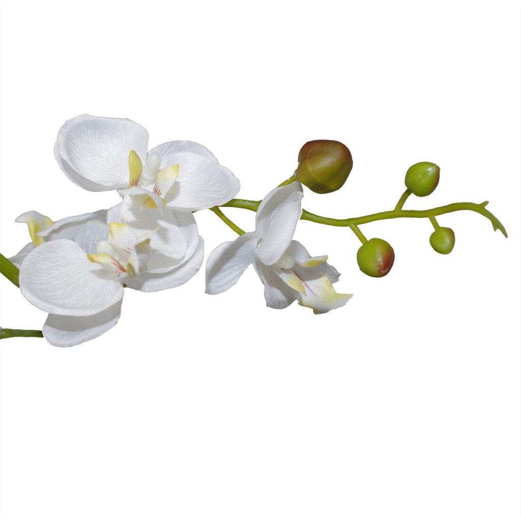 60cm Botanik Realistic Artificial Orchid Flower Display in Pot