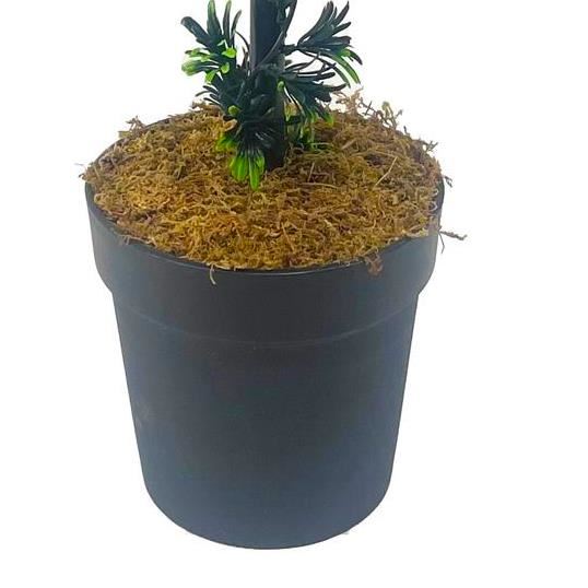 90cm Podocarpus Double Ball Topiary Tree Artificial - Premium Quality