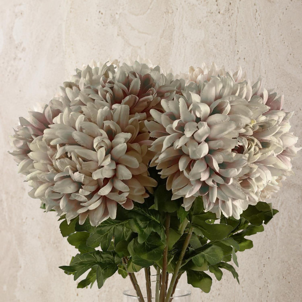 Pack of 6 x 75cm Extra Large Reflex Chrysanthemum - Mushroom - Premium Quality