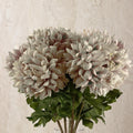 Pack of 6 x 75cm Extra Large Reflex Chrysanthemum - Mushroom - Premium Quality