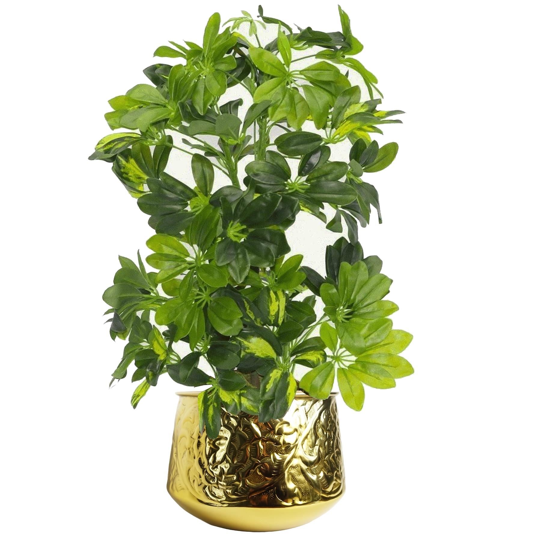 18cm Gold Swirl Metal Planter by Botanik - Premium Quality