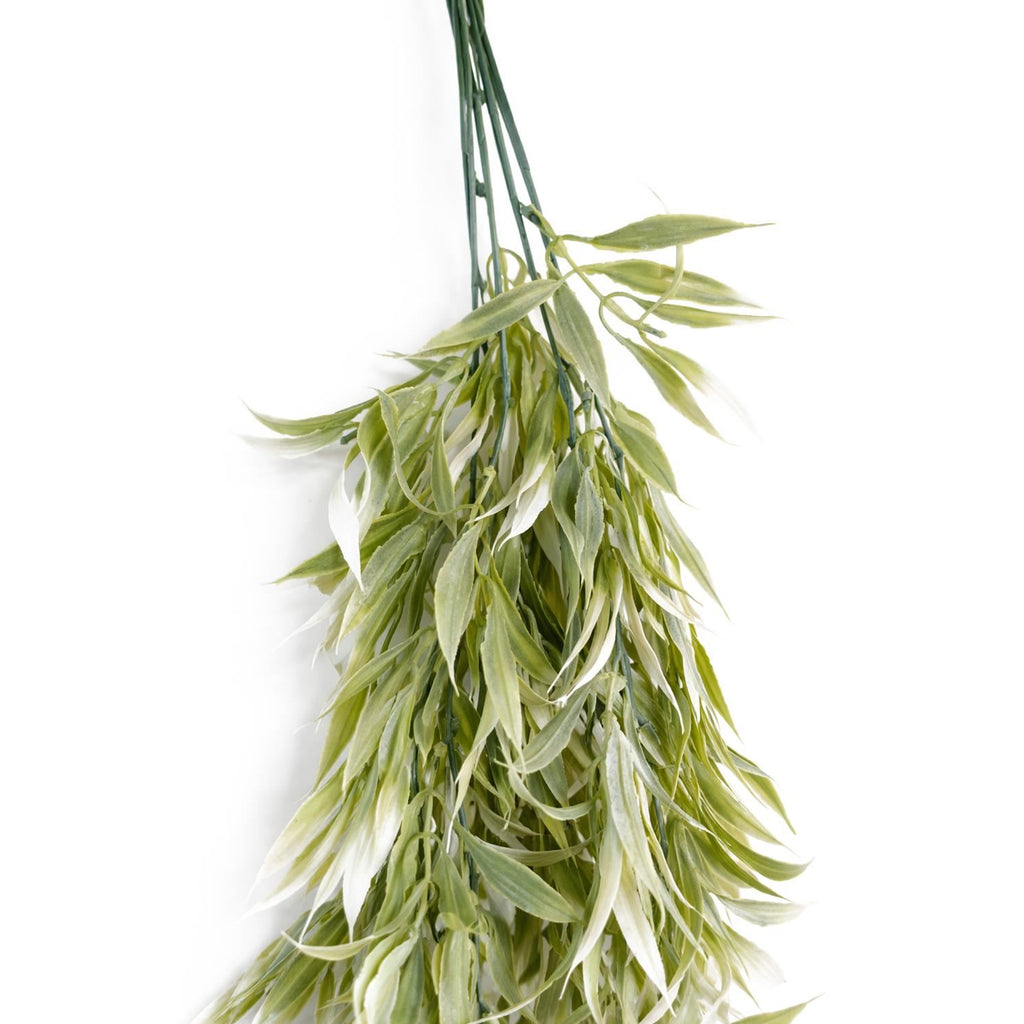 80cm Artificial Italian Ruscus Hanging Plant with Realistic Foliage - Light Green - Premium Quality