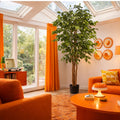 180cm Artificial Fire Retardant Deluxe Retusa Ficus Tree With 1134 Leaves - Premium Quality