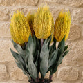 Pack of 6 x 75cm Banksia Menziesii Yellow Flower Stem Artificial - Premium Quality