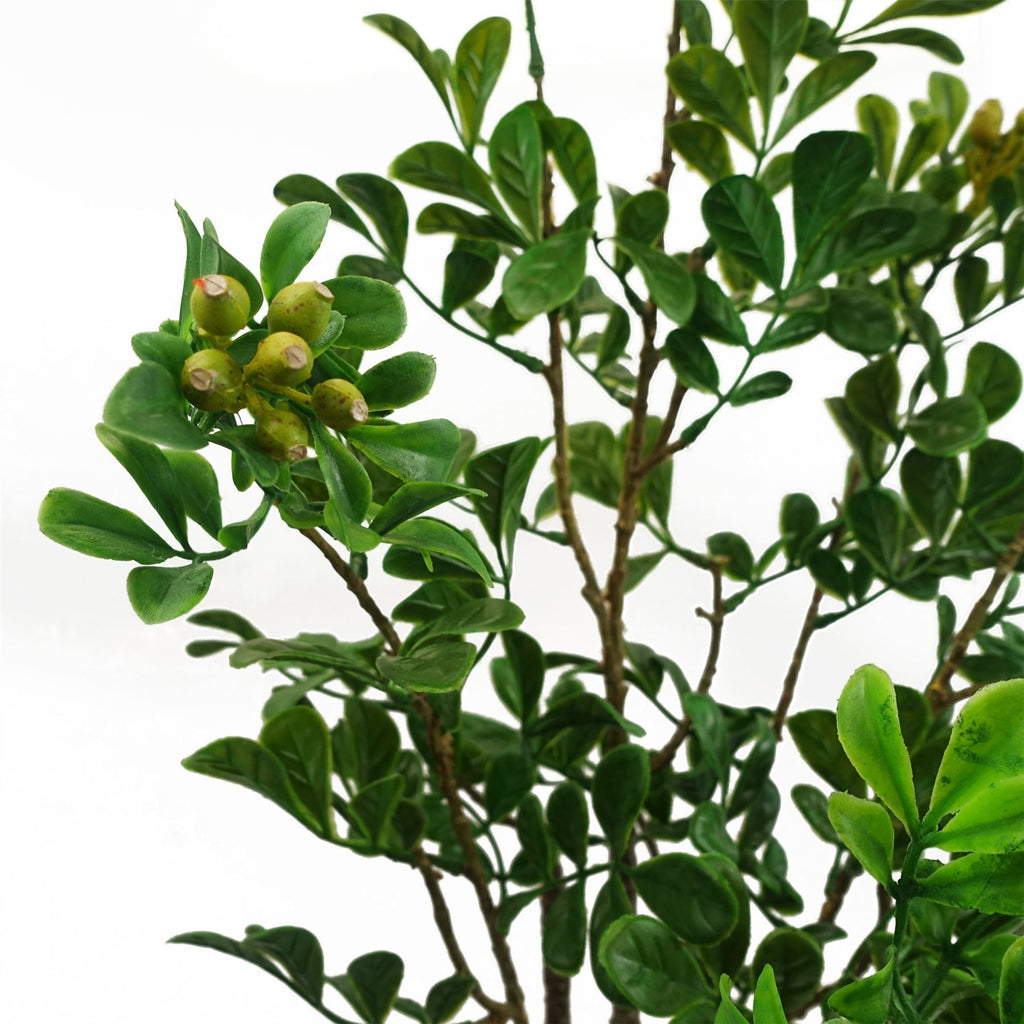 60cm Artificial Aglaia Odorata Bonsai Ficus Tree - Premium Quality