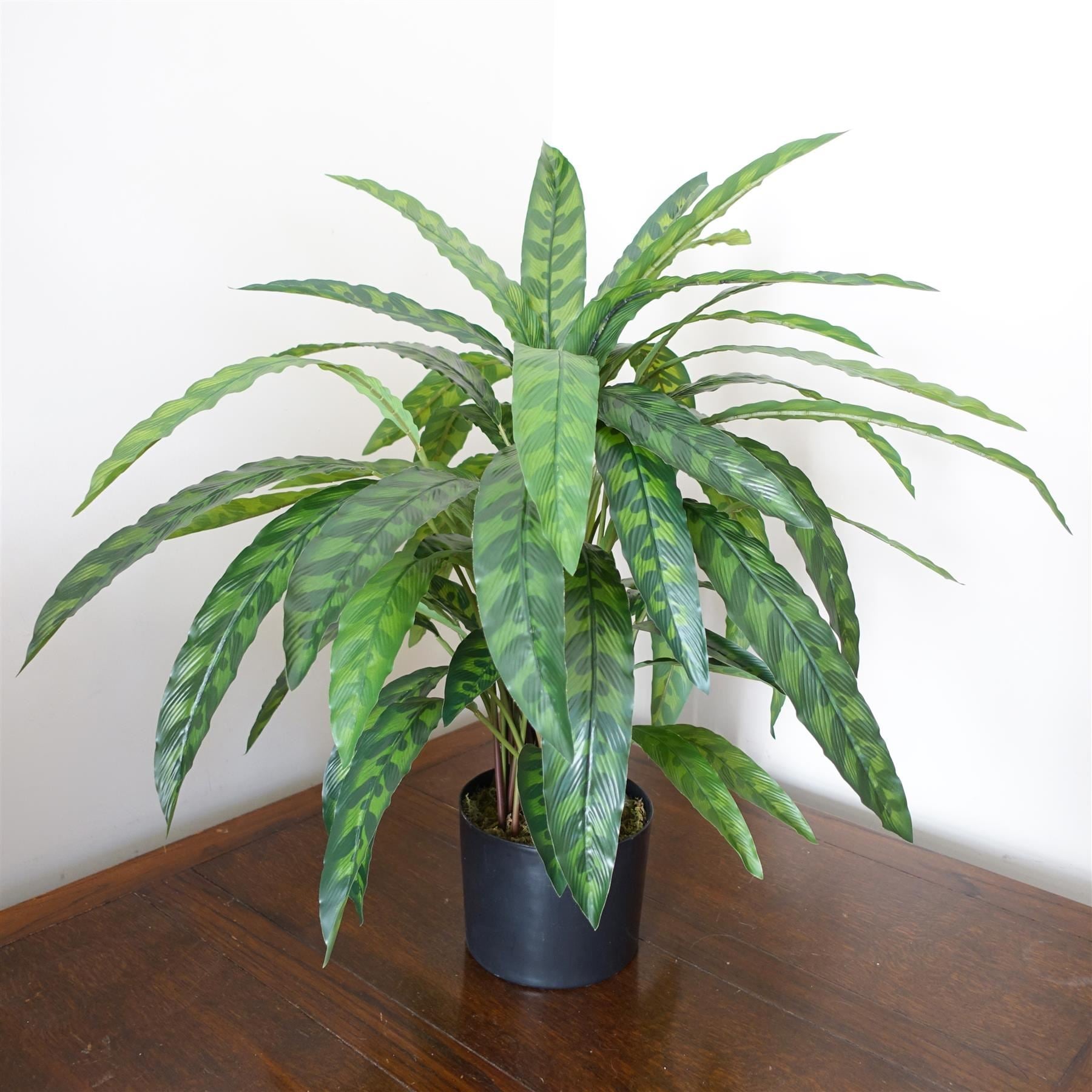 60cm Variegated Artificial Calathea Plant - Premium Quality